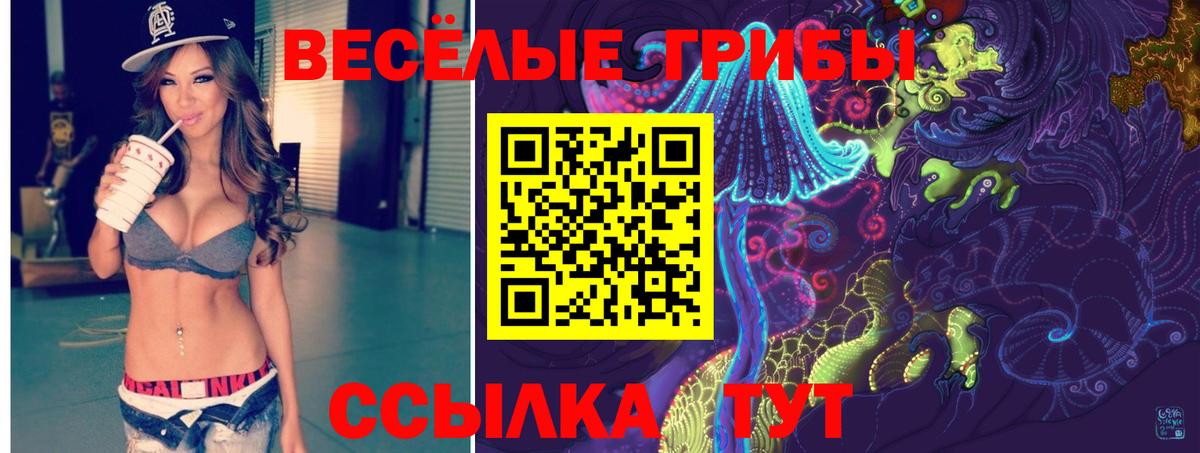 Калуга  Псилоцибиновые грибы прущие грибы  Вход с VPN 