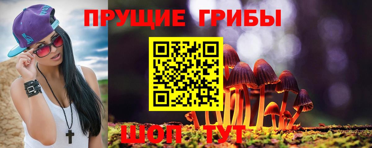 Галлюциногенные грибы Psilocybine cubensis Калуга